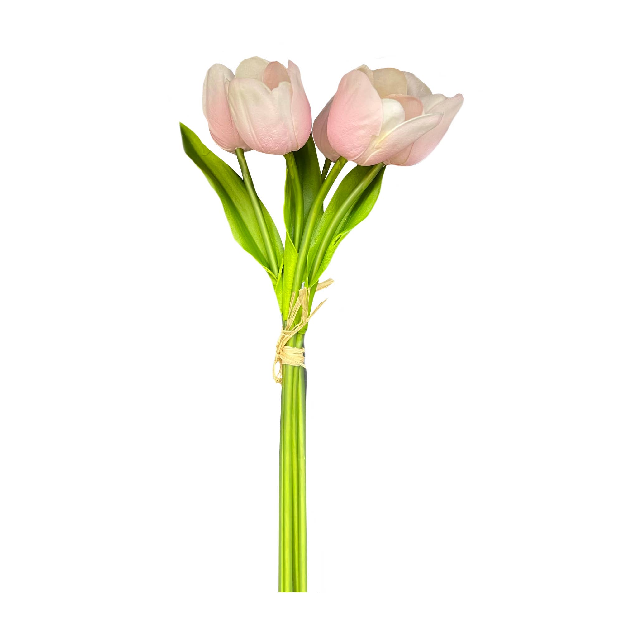 Angel Isabella – wholesale Artificial flowers – Pack of 5-stems Real Touch medium open tulip20