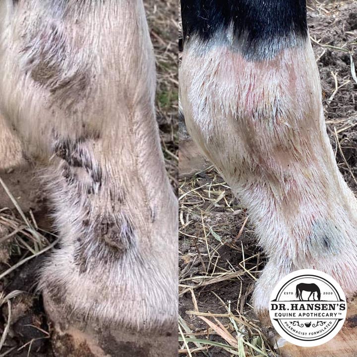 Dr. Hansen's Equine Apothecary - Wholesale Horse Conditioner/Grooming Aid - Formula 44 Ointment10