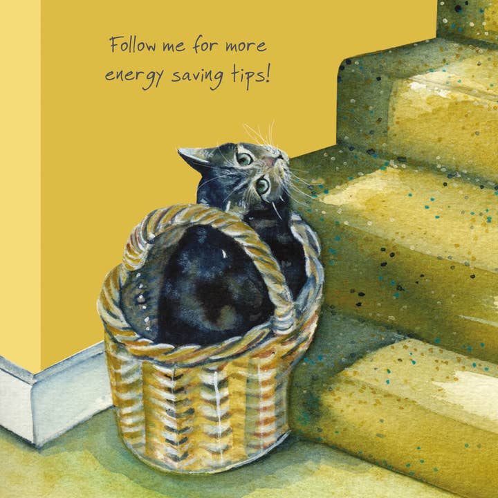 The Little Dog Laughed - Wholesale Everyday Greeting Card - Max the Tabby Cat Greeting Card