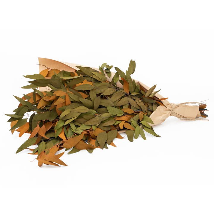 Andaluca - Wholesale Dried/Pressed Flowers - Farmhouse Willow Bundles8