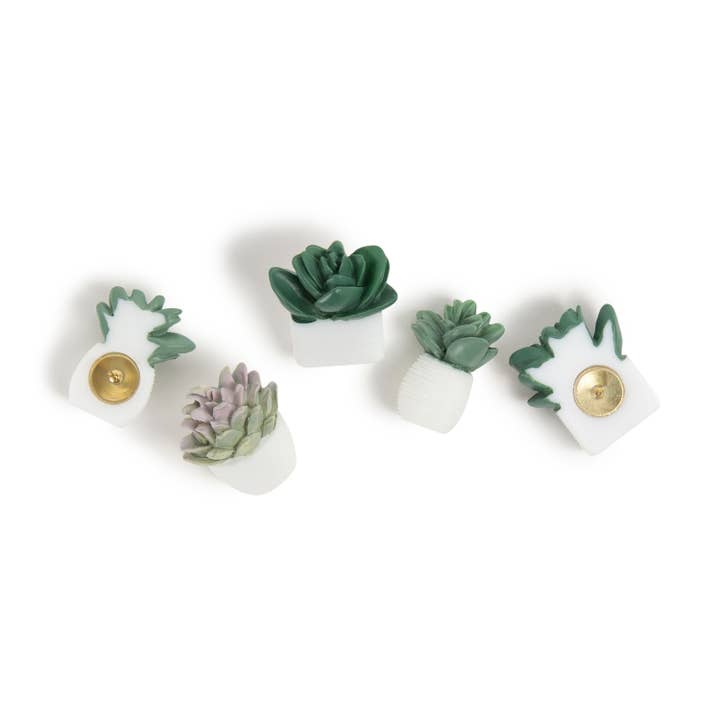 U Brands Succulent Push Pins, Assorted Styles, 9-Count for wholesale by U Brands