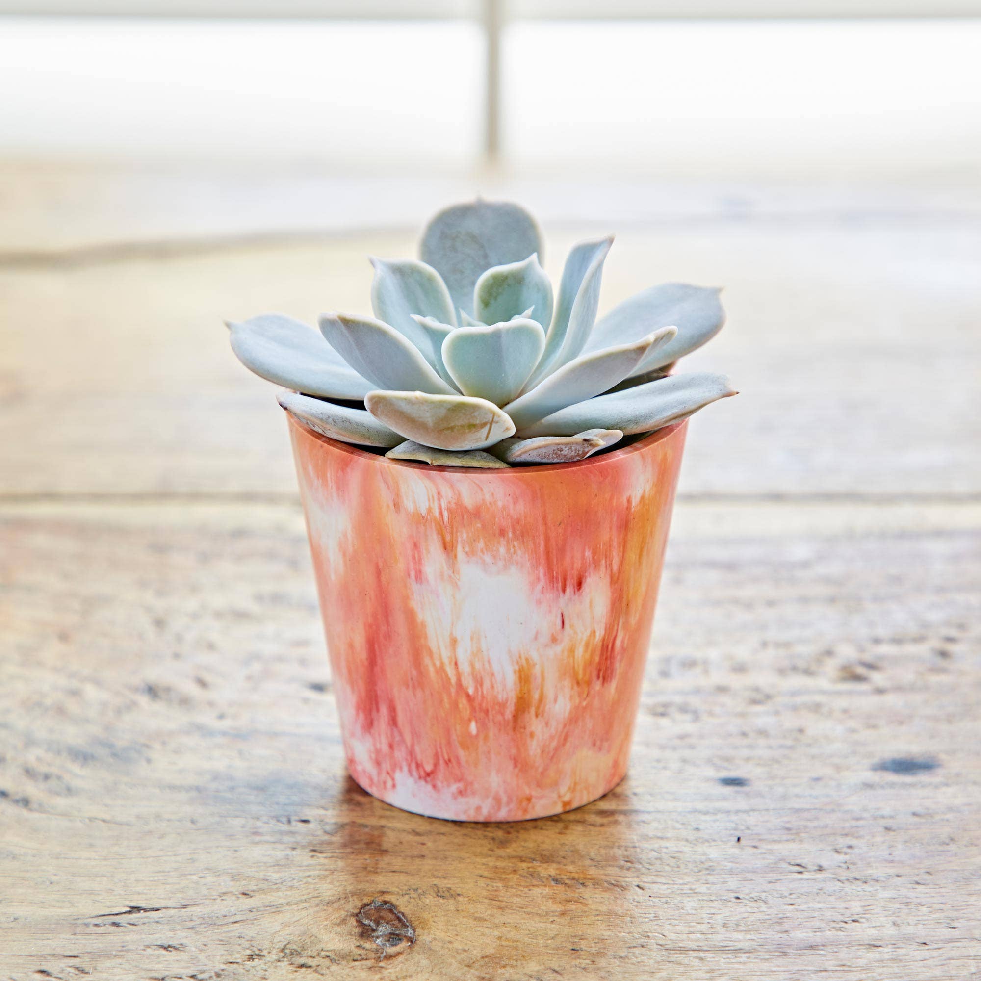 The Paper High Gift Company Limited – wholesale Plant pot – Recycled Plastic Mini Houseplant Pot6