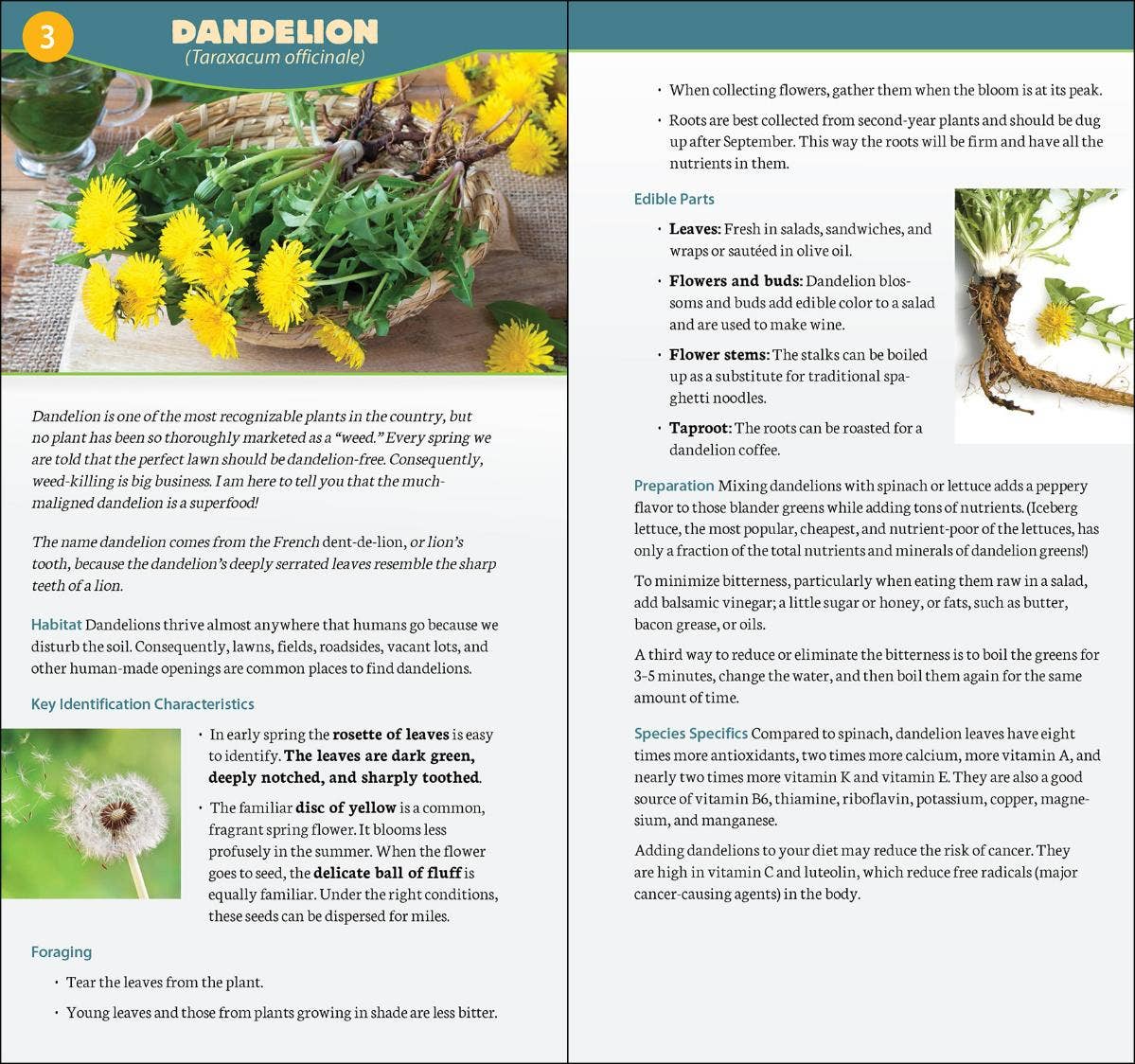 AdventureKEEN - Vente Nature et plein air - Fourrager en Amérique du Nord Guide rapide2