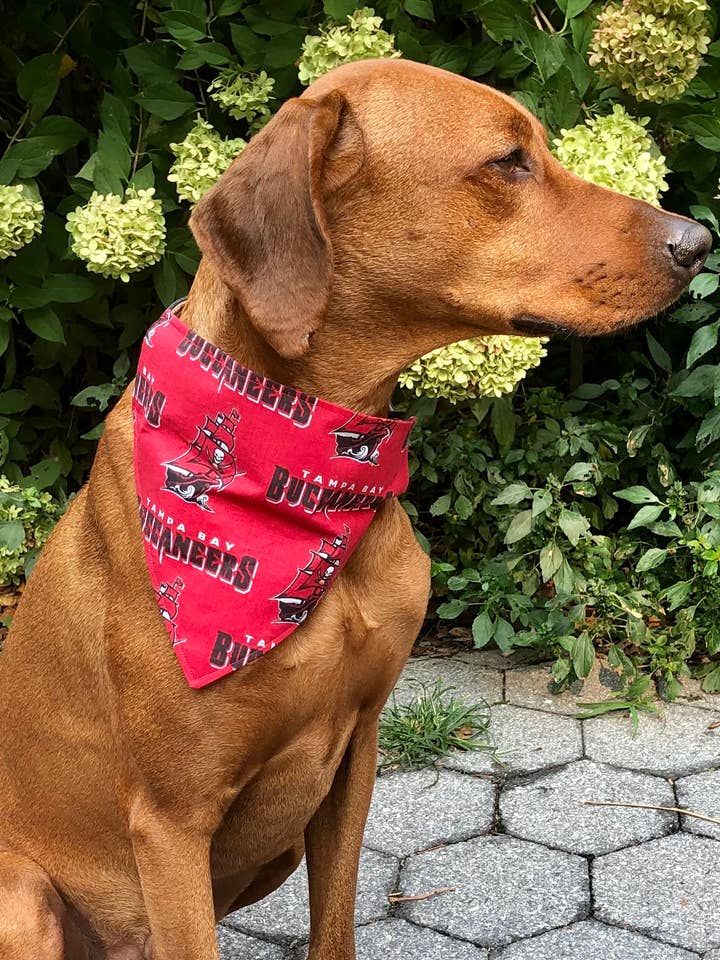 Tampa Bay Buccaneers Bandana - Fotbollssamling för wholesale av Koa's Ruff Life