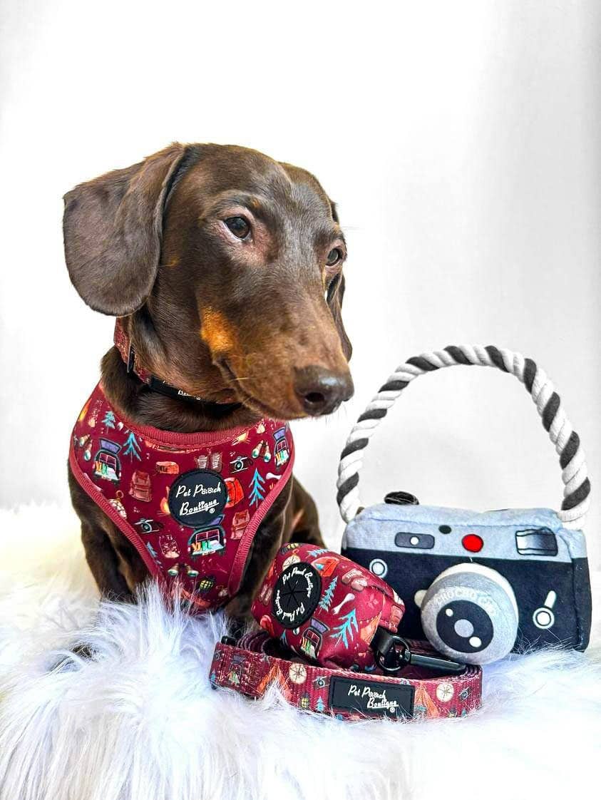 Pet Pooch Boutique - Venta al por mayor Correa - Perros - Correa para perros Great Adventure, reversible1