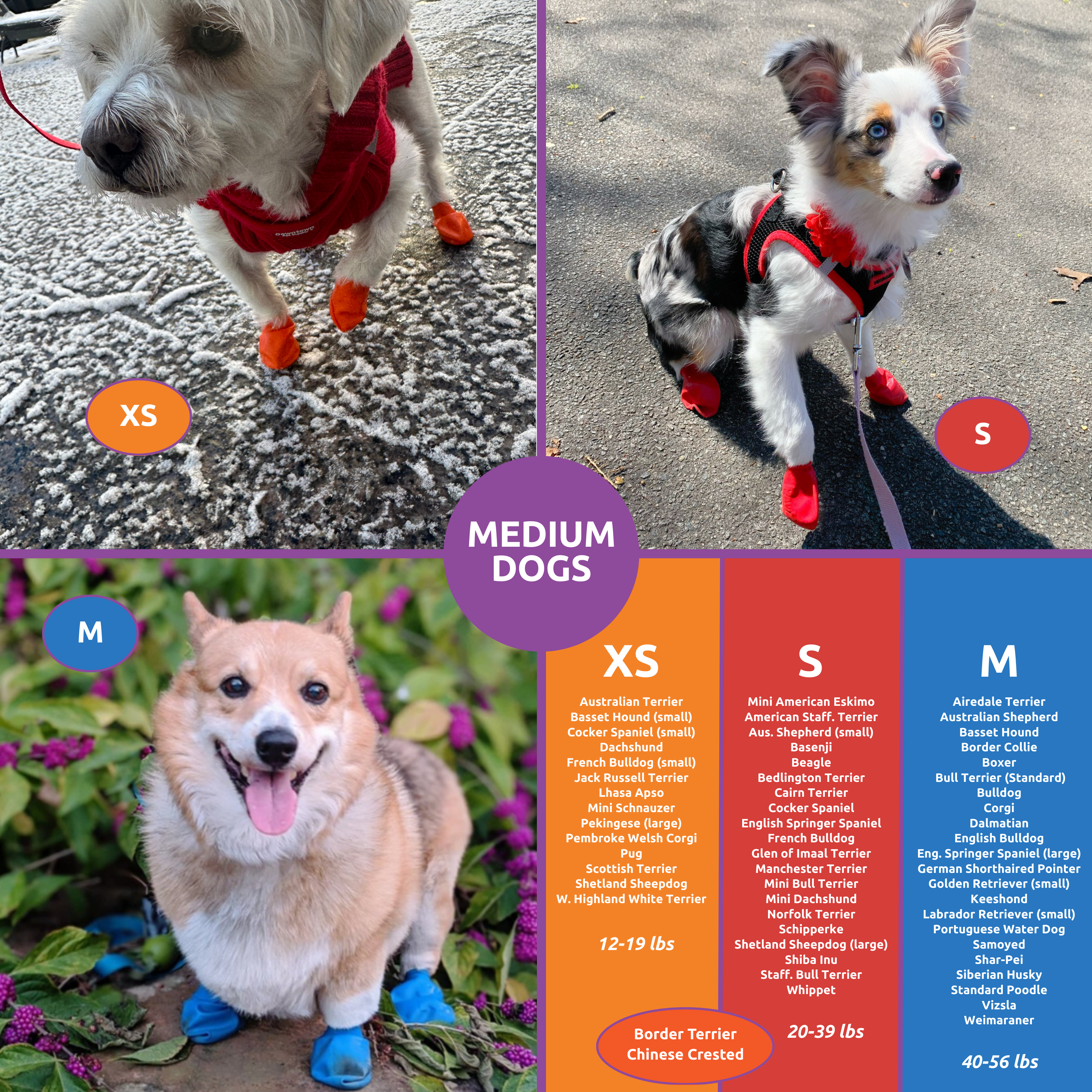 Downtown Pet Supply – wholesale Pet paw protection – PawZ Rubber Dog Boots, 12 Boots16