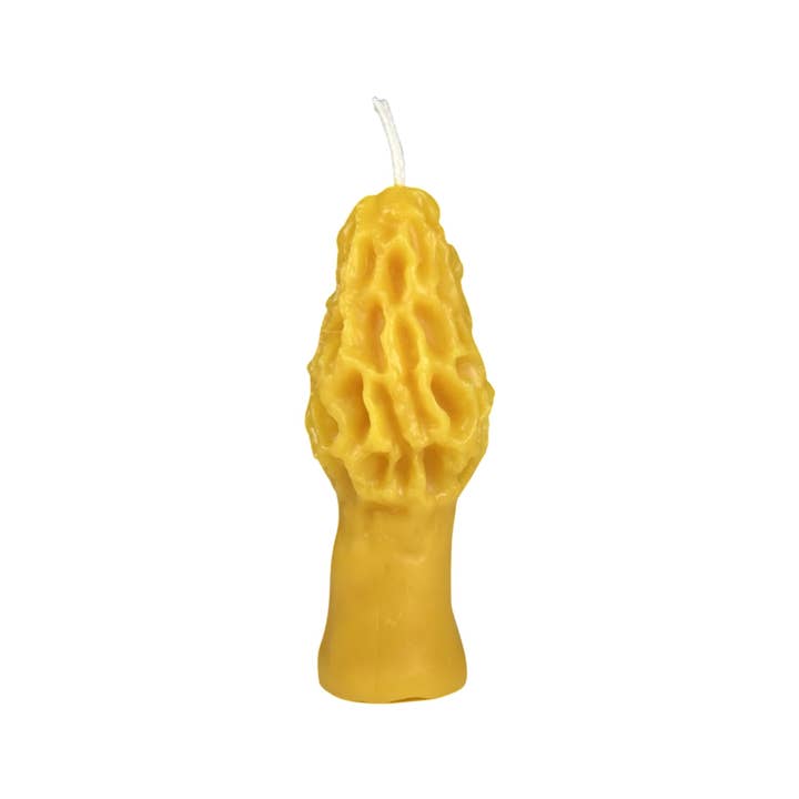 Sister Bees LLC - Wholesale Novelty Candle - Morel Mushroom Candle-100% Pure Beeswax