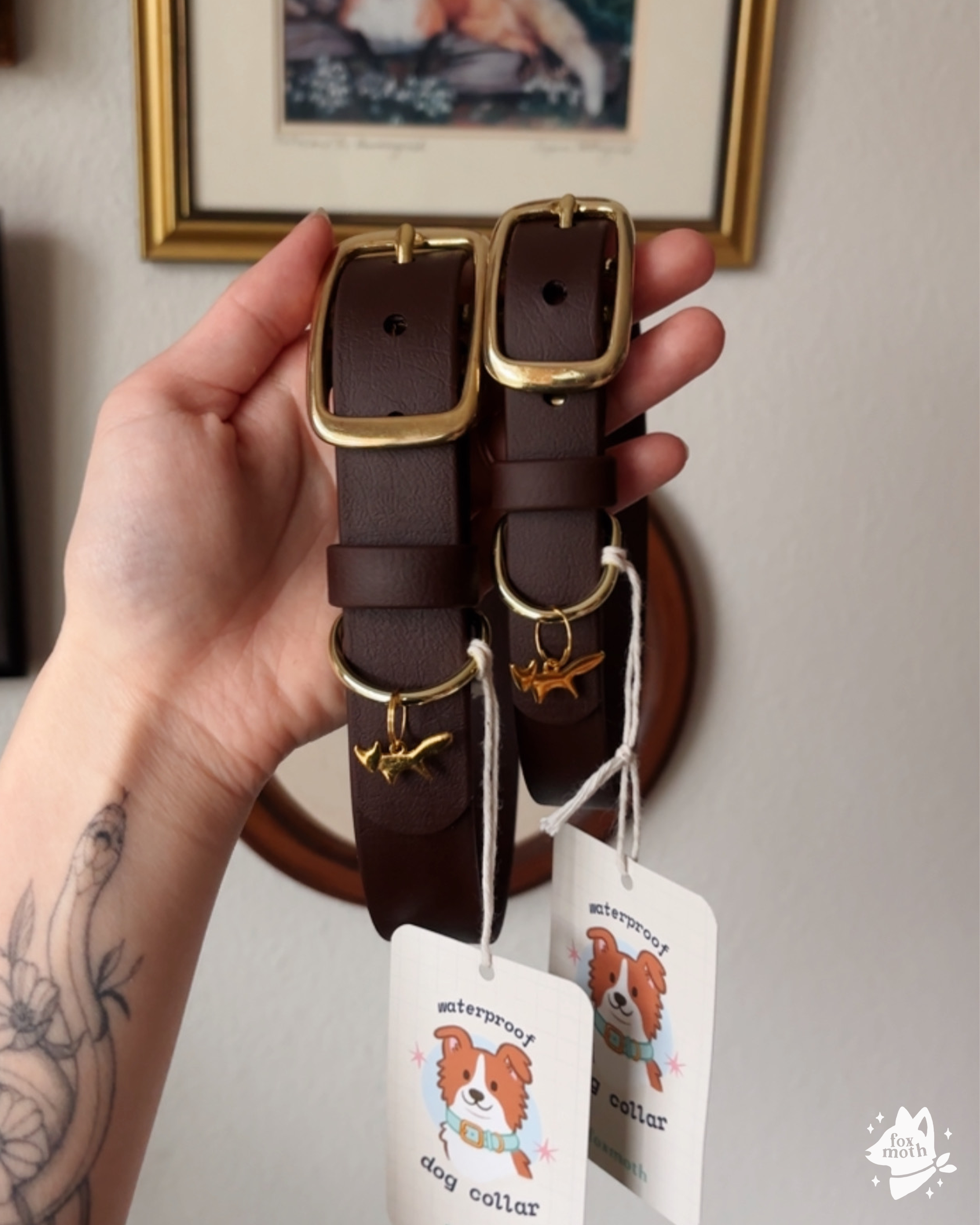 FoxMoth - Wholesale Pet Collar - Dog - Modern Waterproof Biothane Dog Collar [All 17+ Colors]22