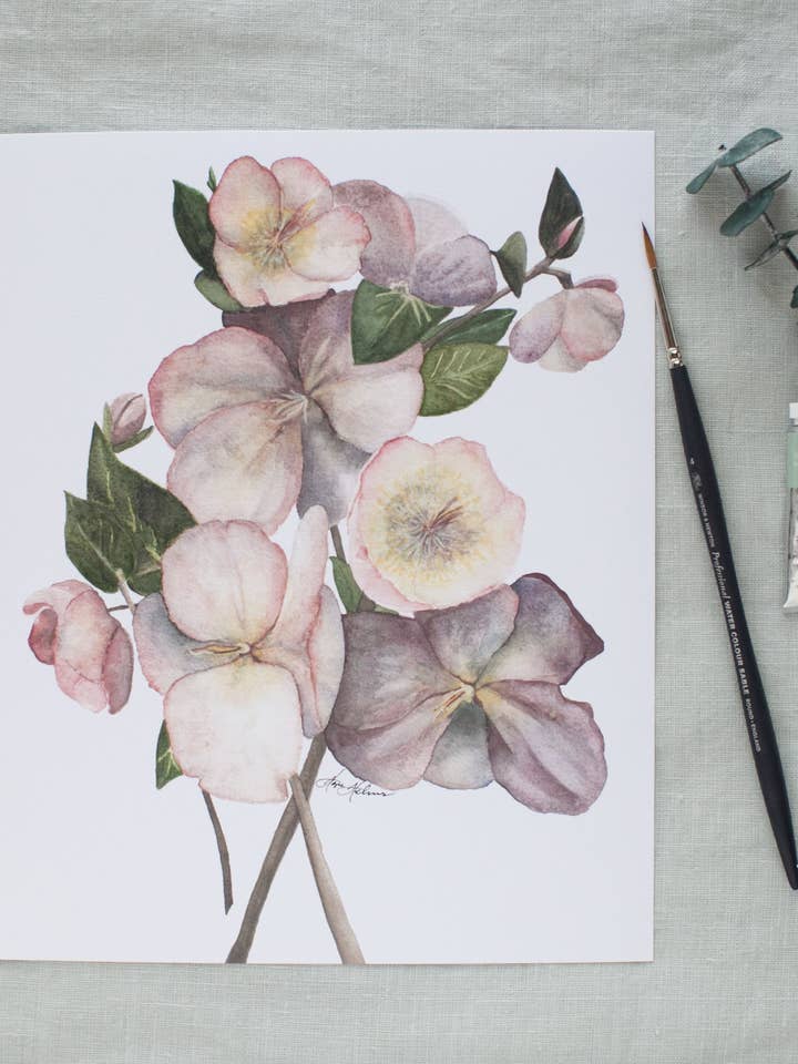 Hellebores for engroshandel hos Hope Helms Fine Art & Design