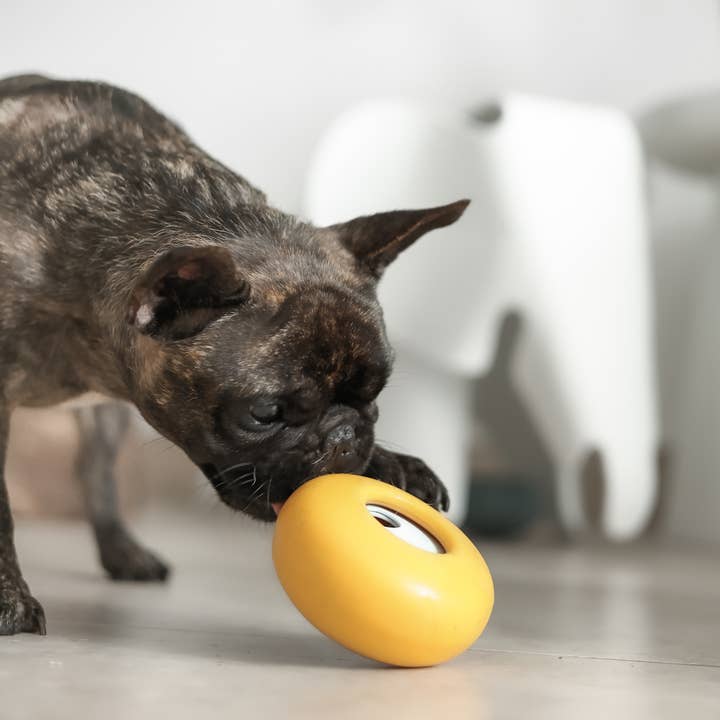 Lunoji – wholesale Pet toy – Dog – Pebble: All-in-One Dog Toy | Slow Feeder + Treat Dispenser