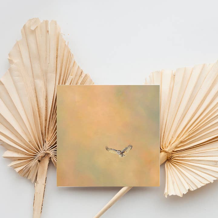 Portrait of Clouds - Wholesale Everyday Greeting Card - Barn Owl Greetings Card - Luxury Textured Cardstock2