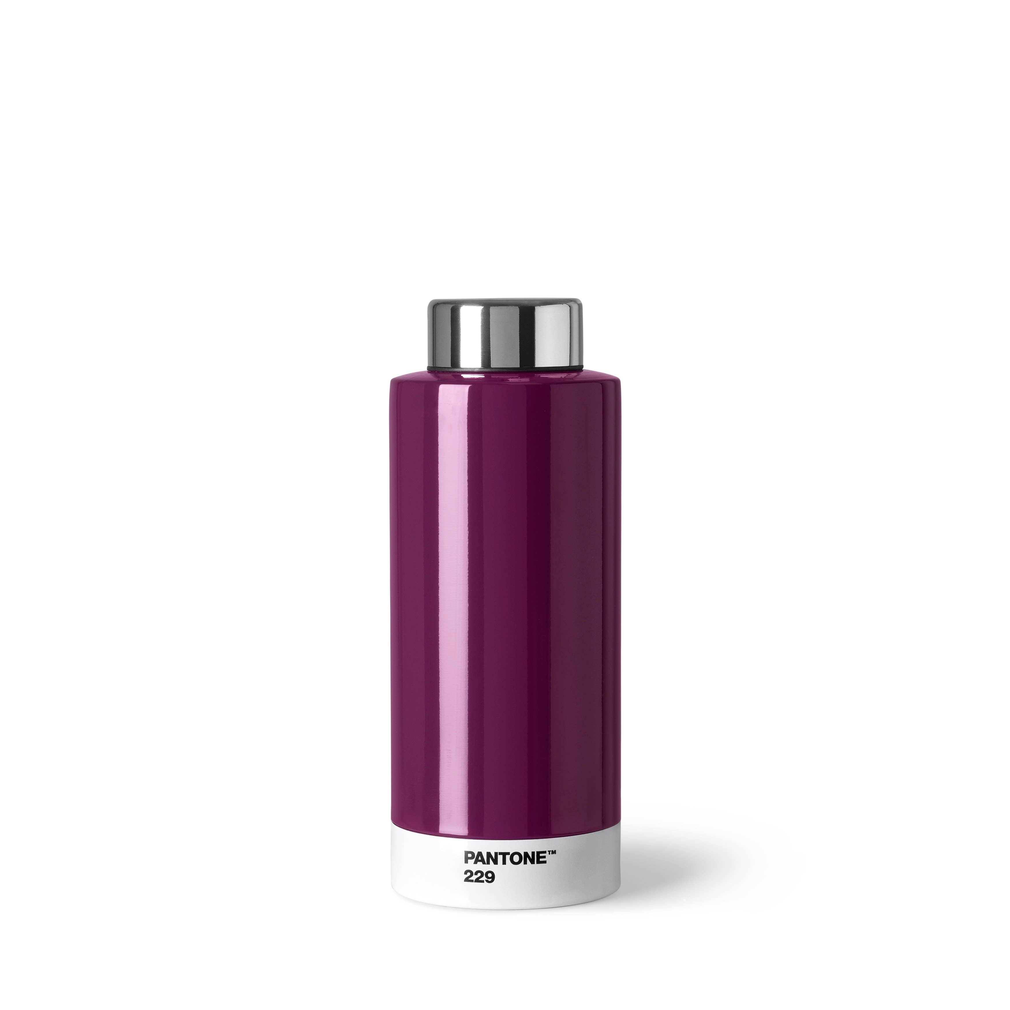 Copenhagen Design / PANTONE - Wholesale Water Bottle - Thermo Steel Drinking Bottle7