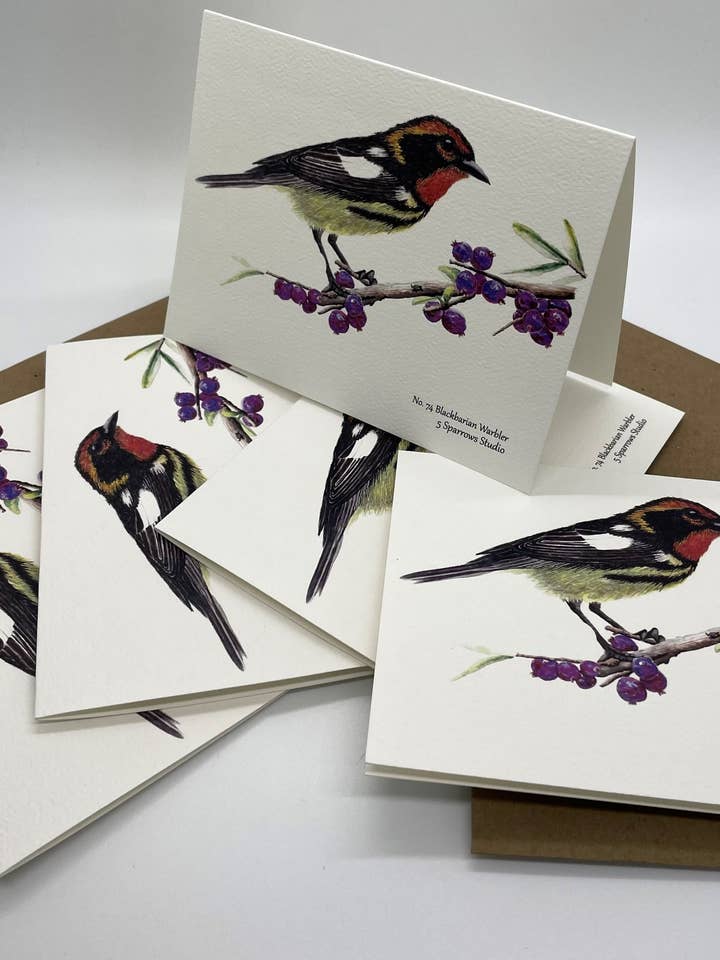 Blackburnian Warbler - Notecard w/ Envelope for wholesale by Bird Art by KB