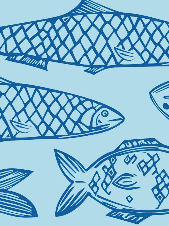 'Fish, In Tandem' Greeting Card for wholesale by Catie Lehman Art & Design