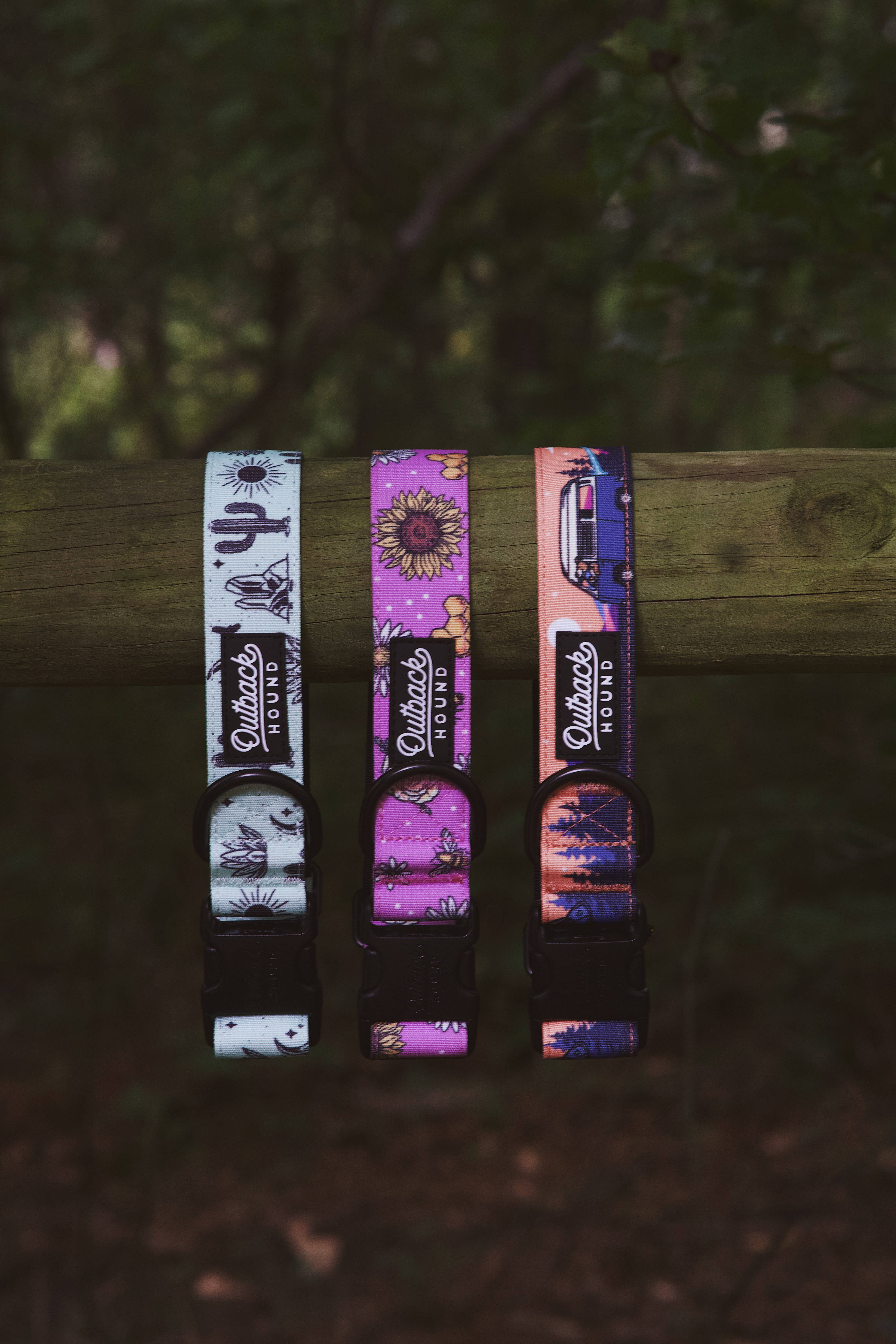 Outback Hound - Wholesale Pet Collar - Dog - Agave Dog Collar1