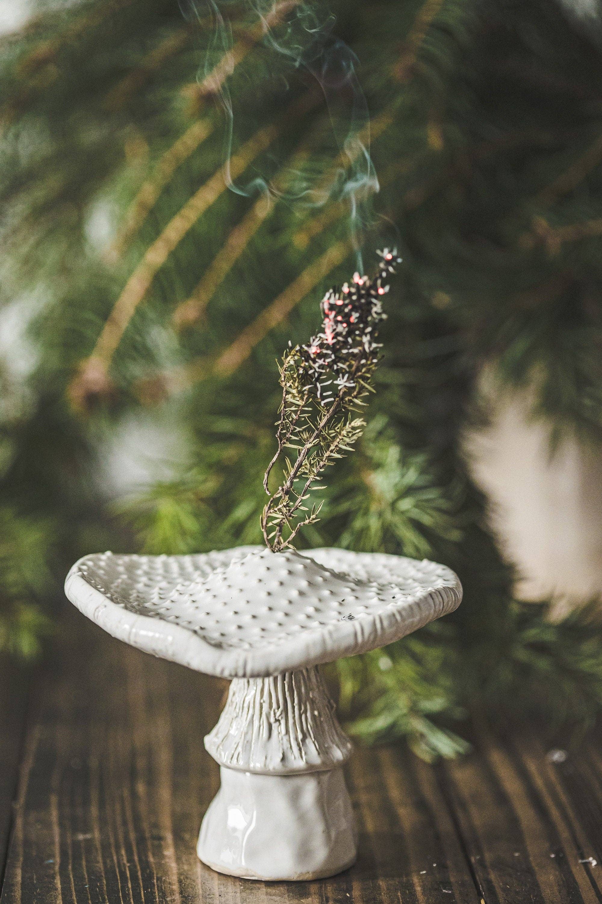 Danutė Murauskienė - Wholesale Incense Holder - White mushroom incense holder3