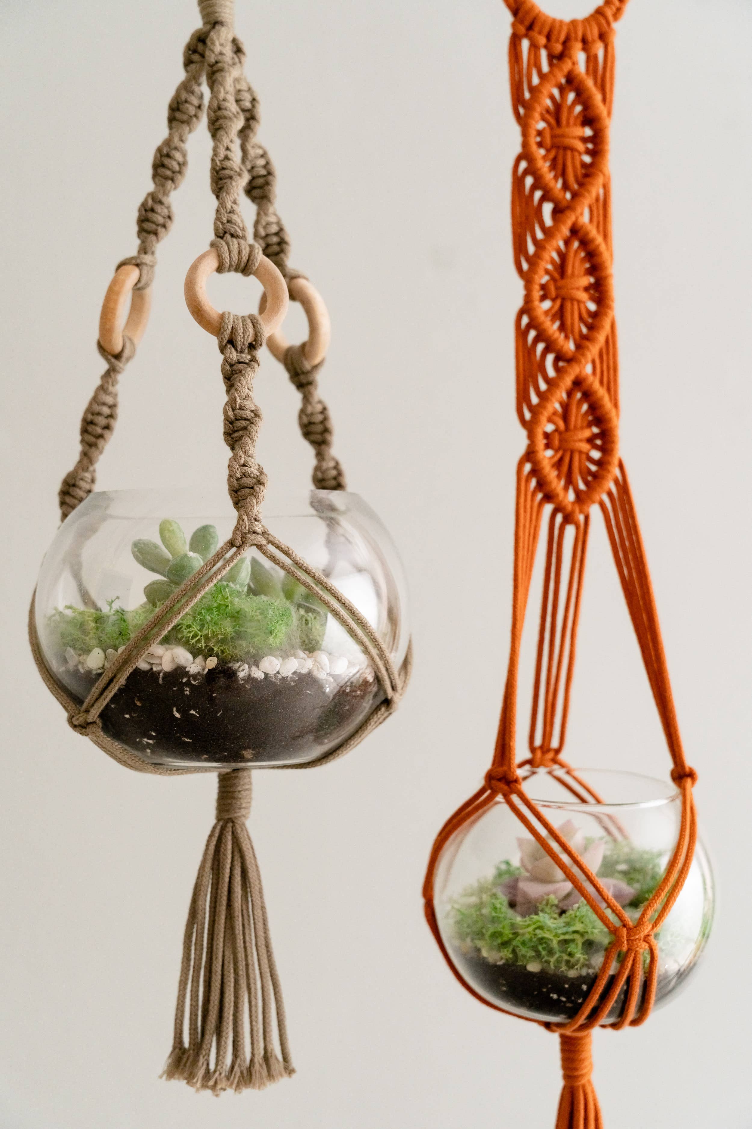 BeanDaikon - Venta al por mayor Macetas colgantes - Colgador para plantas de terrario I689