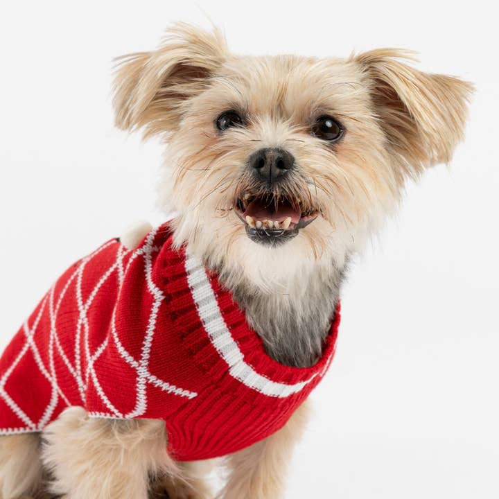 Silver Paw - Wholesale Pet Sweater - Dog - Ugly Xmas Dog Sweater - Gingerbread