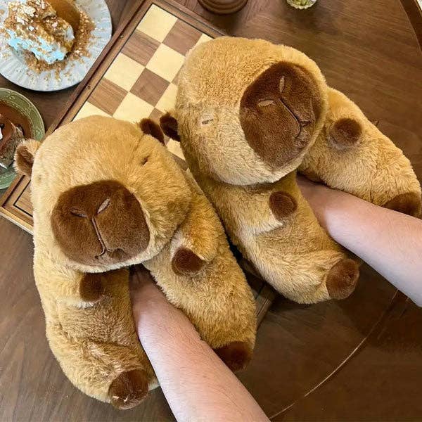 Showcase - Wholesale Slippers - Women's - Capybara Plush Fluffy Animal Slippers