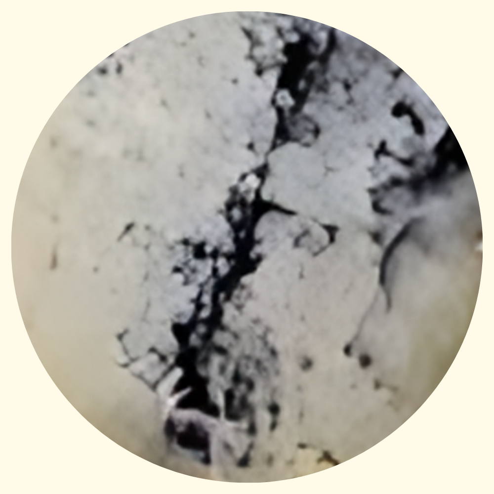 Gourm.it - Wholesale Cheese - Truffle Pecorino 400g. Intense and fragrant. Tuscany.1