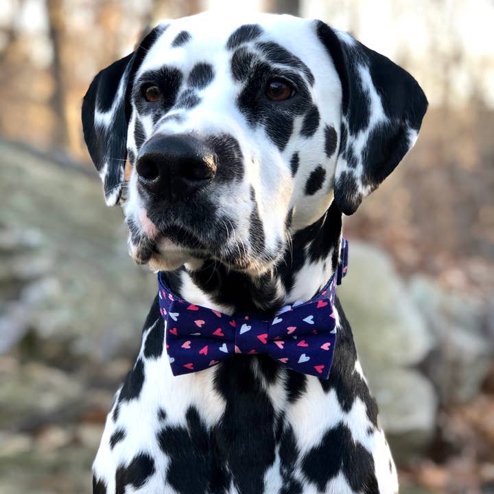 Dusidog – wholesale Fluga - Hund – Mini Hearts Pet Bow Tie - Den hemliga beundraren Alla hjärtans dag1
