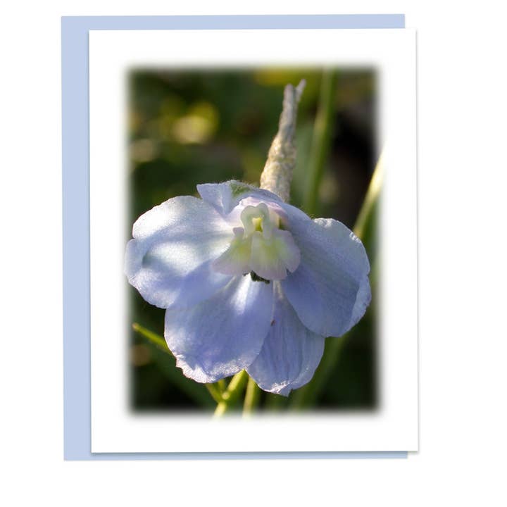 Blue Delphinium Garden Flower Stationery Notecard for wholesale by LindaGeez
