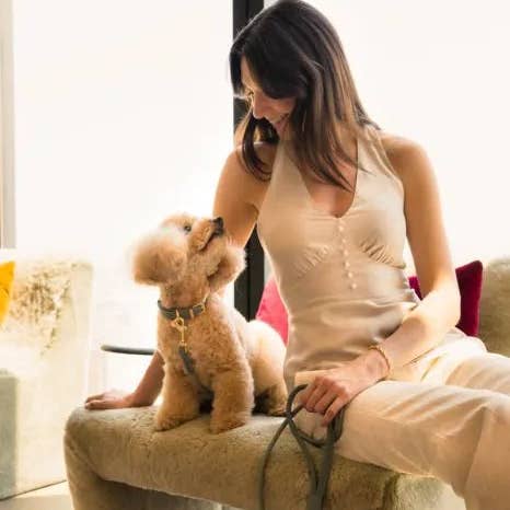 In Vogue Pets - Wholesale Pet Collar - Dog - Fuzzyard Life Atelier Dog Collar - Myrtle Green3