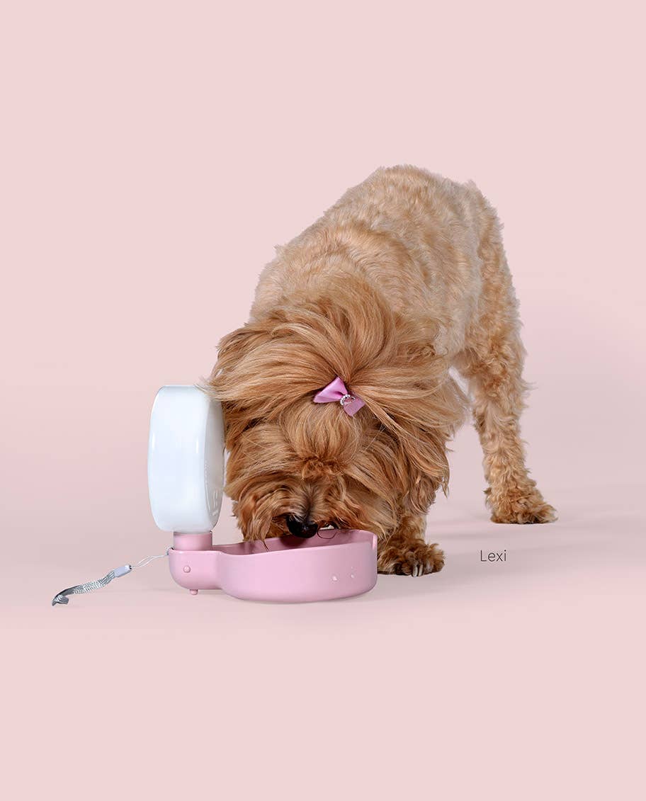 United Pets – Großhandel Haustiertrinkflasche – Hund – Designer-Reiseflasche mit Tropfventil5