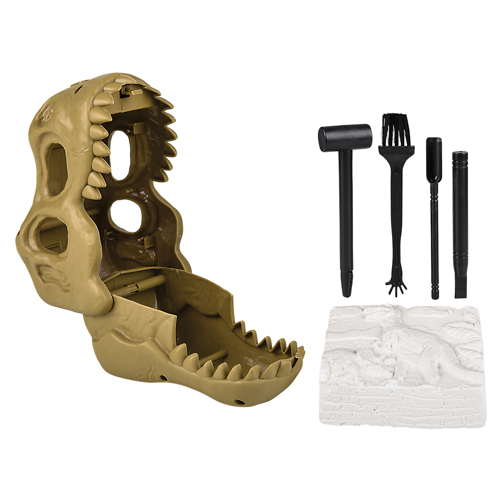 The Toy Network - Wholesale Toy Set - Kids - (T) 6" DINOSAUR FOSSIL DIG SET 12CT1