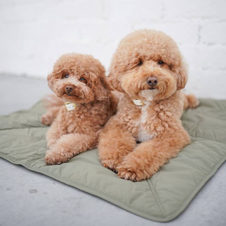 Lambwolf EU - Wholesale Pet Mat - Dog - ORII - TRAVEL MAT 1