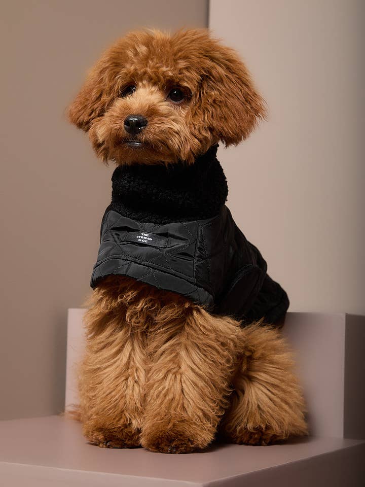 Schwarzer Rollkragenpullover Cape HIRO für den Großhandel von The Striped Dog