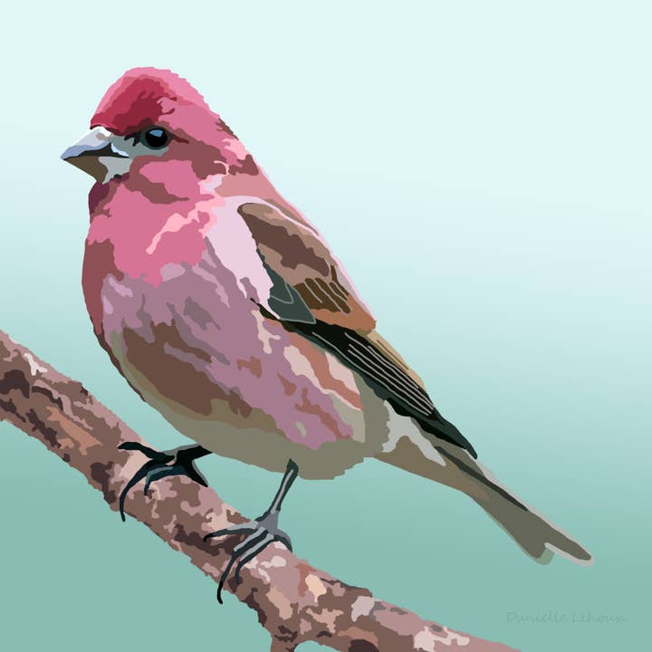 Purple Finch Art Print for wholesale by Lehoux Art