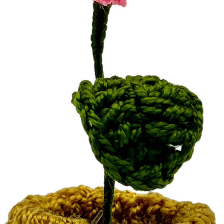 HDIF-USA - Wholesale Artificial Flowers - Crocheted Mini Flower Pots4