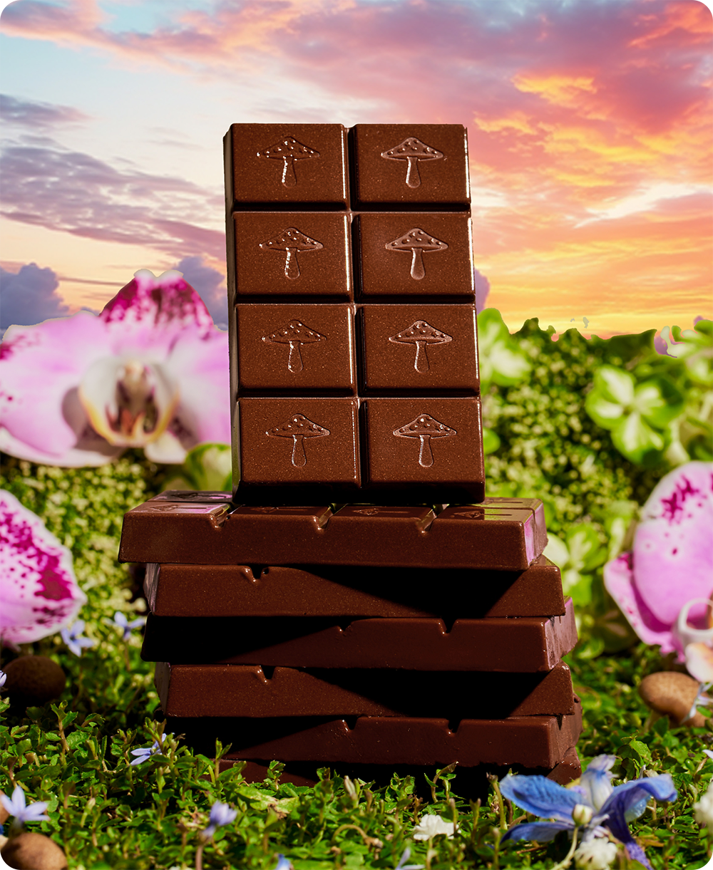 Alice Mushrooms - Wholesale Chocolate Bar - Happy Ending - mushroom chocolate supplement for wellness4
