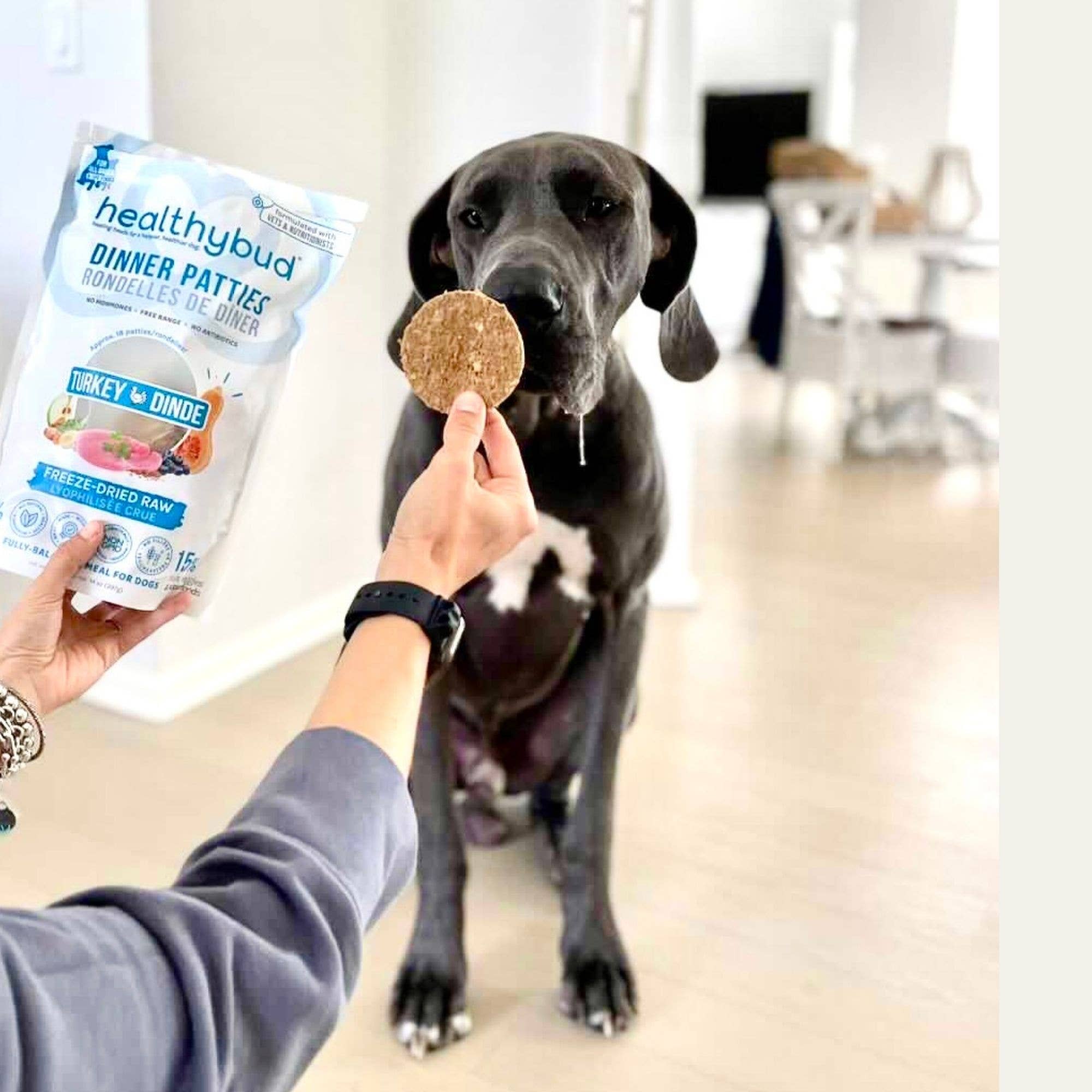 Healthybud - Wholesale Pet Food - Dog - Healthybud Freeze-Dried Turkey Meal Patties for Dogs6