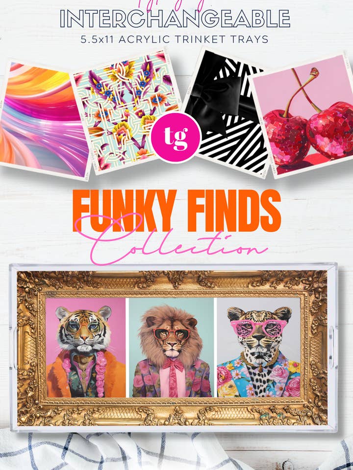 5.5x11 FUNKY FINDS trinket tray insert set of 5 for wholesale by TAYLOR GRAY