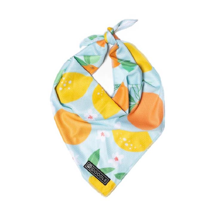 FRESH SQUEEZE for wholesale by Doodle Pet Design Company