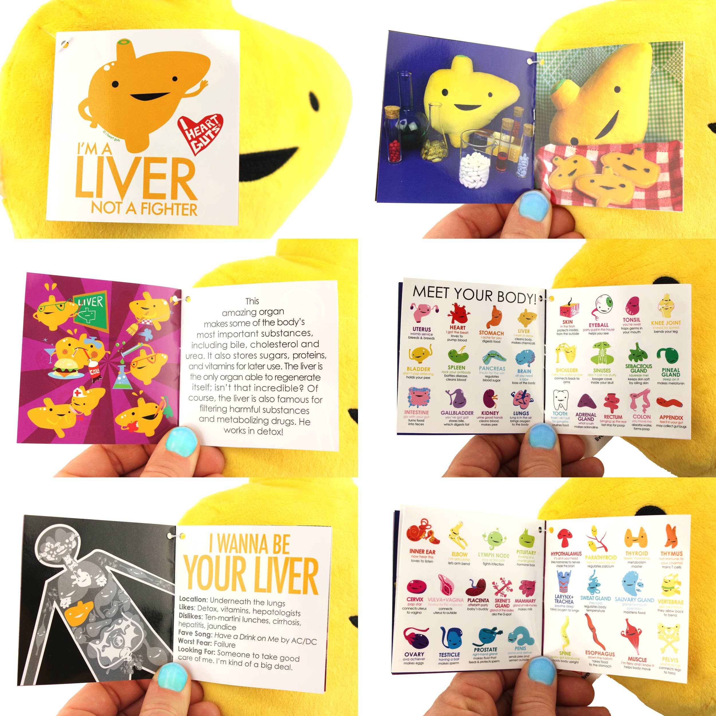 I Heart Guts | Organ Plushies Wholesale - Wholesale Stuffed/Plush Toy - Kids & Baby - Liver Plush - I'm a Liver Not a Fighter8