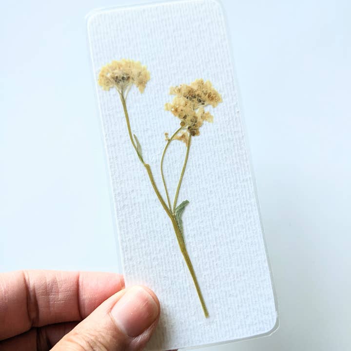 KateeMarie - Wholesale Bookmark - Pressed Flower Bookmarks3