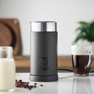 Wholesale Mini Stainless Steel Manufacturer Handheld Coffee Milk