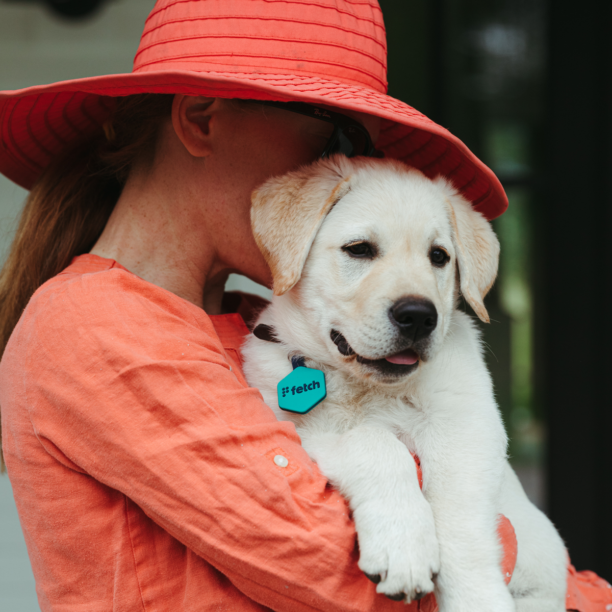 Lifekey - Wholesale Pet Identification Tag - Dog - Easy Green Fetch® Smart Pet Tag14