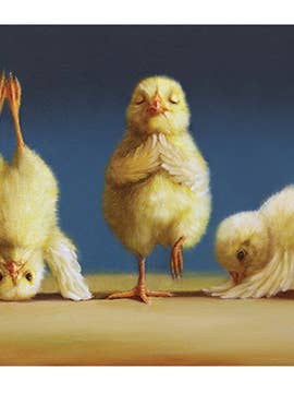 Yoga Chicks - Artist: Lucia Heffernan - FF222 for wholesale by Masala Cards