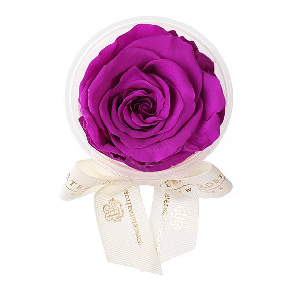 Eternal Roses® - Wholesale Party Favor - Eternal Rose Party Favors39