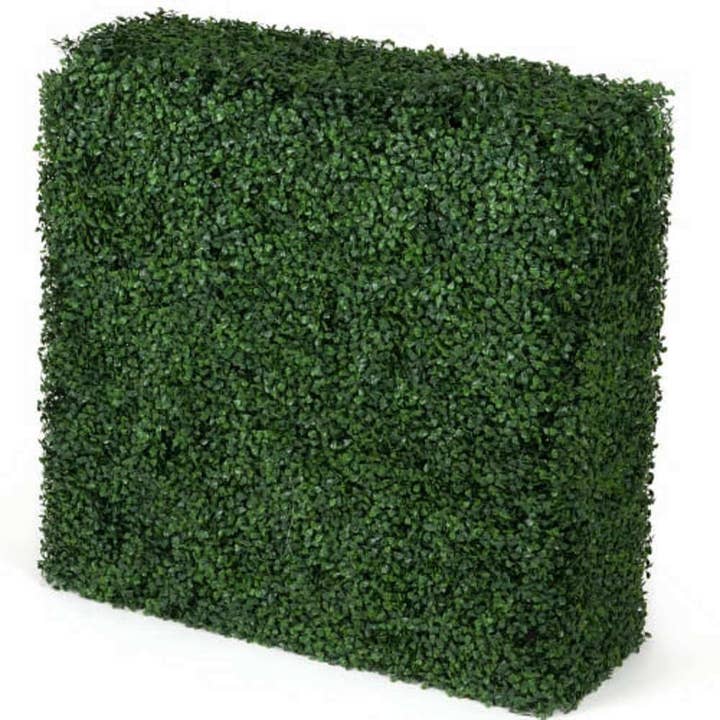 Haie de buis portable résistante aux UV 75 cm x 75 cm pour la vente par Designer Plants AU