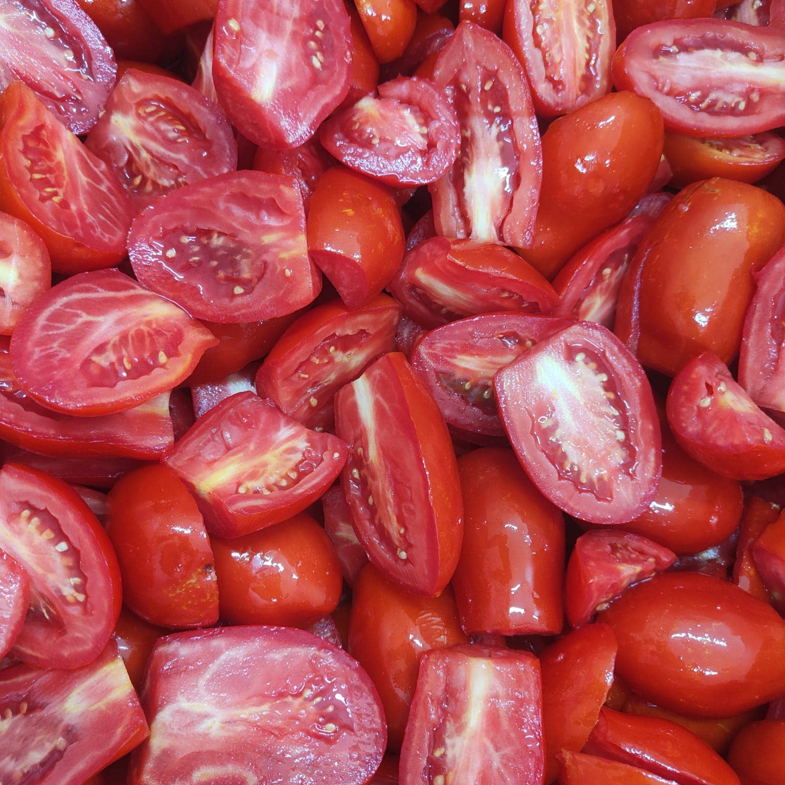 Cocco Food - Wholesale Pasta Sauce - SalsaMarina - Tomato sauce in seawater for Pasta5