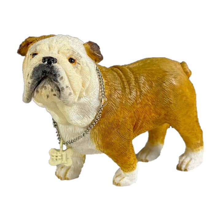 Chiens du Kennel Club English Bull Dog pour la vente par Natures Window