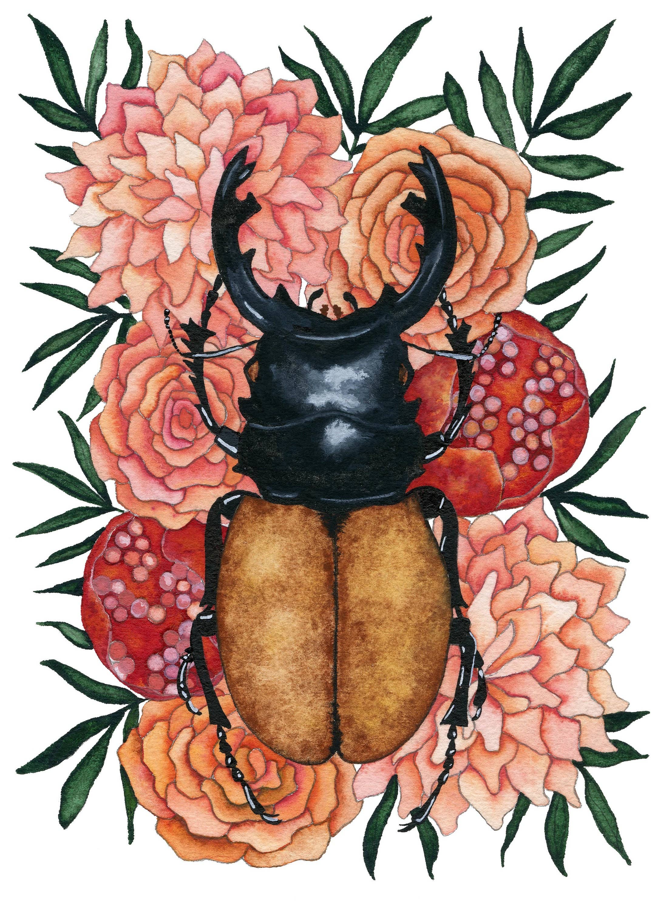 Candace Fincher - Wholesale Art print - Insect Art Print Of Stag Beetle, Insect Taxidermy, Entomology, Beetle Boho Wall Decor8