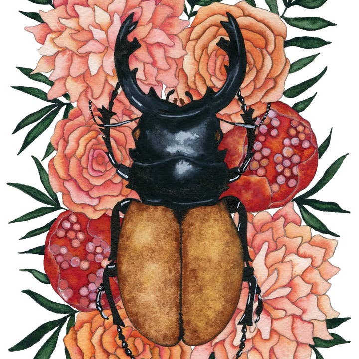 Candace Fincher - Wholesale Art print - Insect Art Print Of Stag Beetle, Insect Taxidermy, Entomology, Beetle Boho Wall Decor8