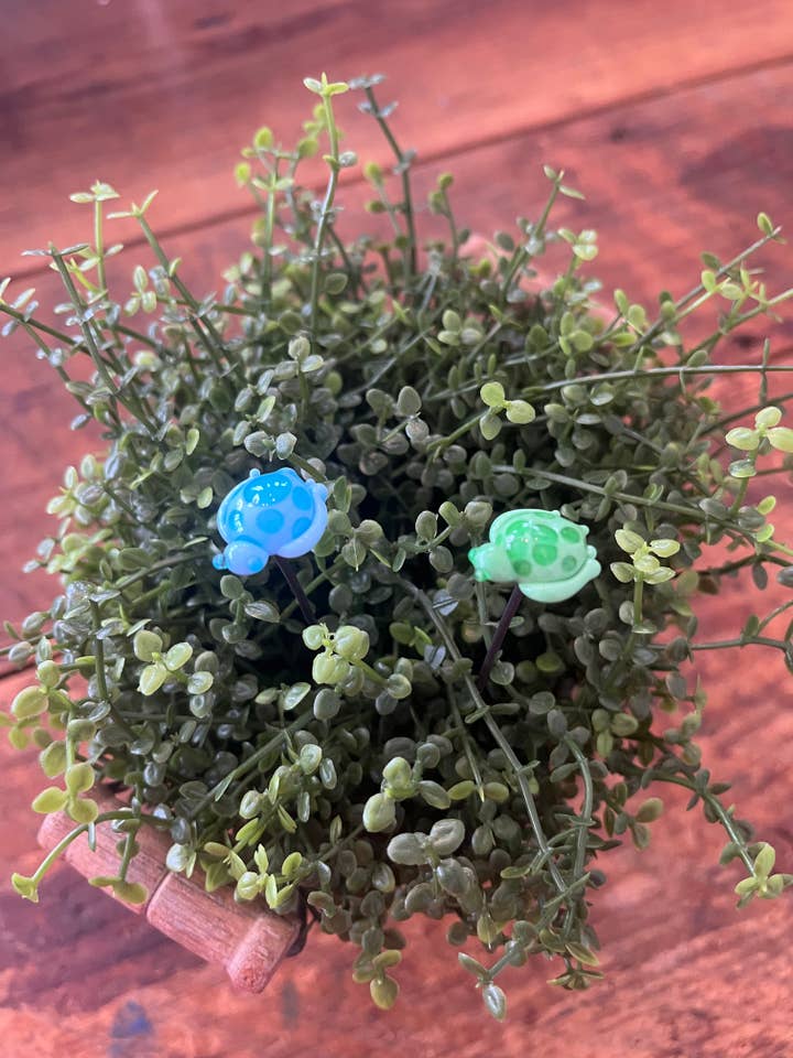 Havskildpadde Plante Stick for engroshandel hos Annie Did It!