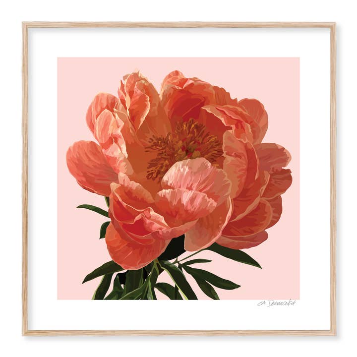 Kunstdruck Floral | Rosa Pfingstrosenblume Giclée für den Großhandel von The Red Barn Press